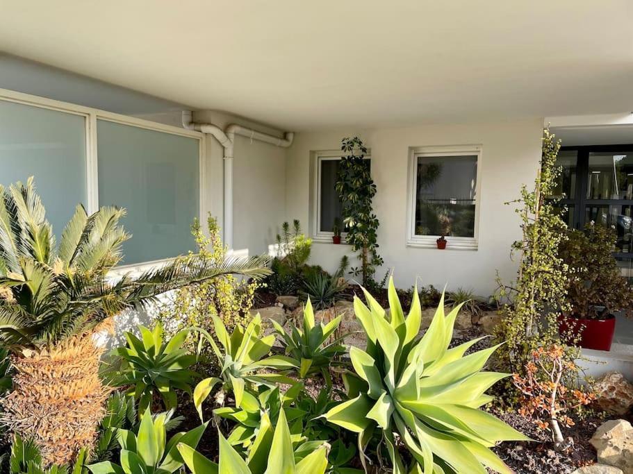 Apartament 21 - Tres Agreable Rdc Avec Terrasse Et Parking Bandol Zewnętrze zdjęcie