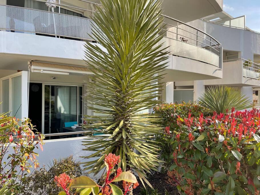 Apartament 21 - Tres Agreable Rdc Avec Terrasse Et Parking Bandol Zewnętrze zdjęcie