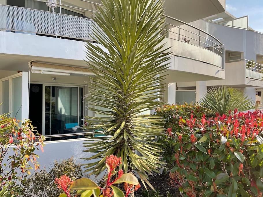 Apartament 21 - Tres Agreable Rdc Avec Terrasse Et Parking Bandol Zewnętrze zdjęcie
