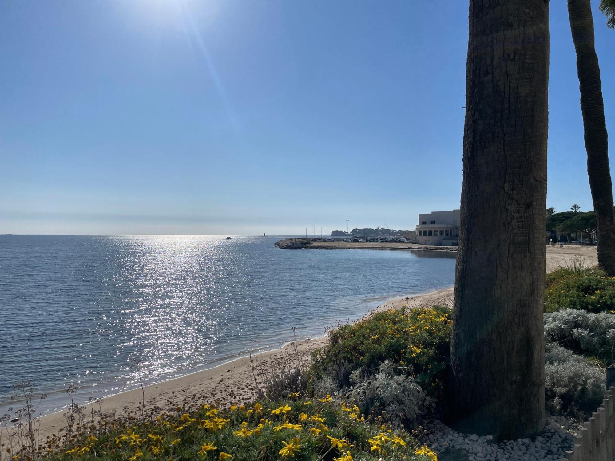 Apartament 21 - Tres Agreable Rdc Avec Terrasse Et Parking Bandol Zewnętrze zdjęcie